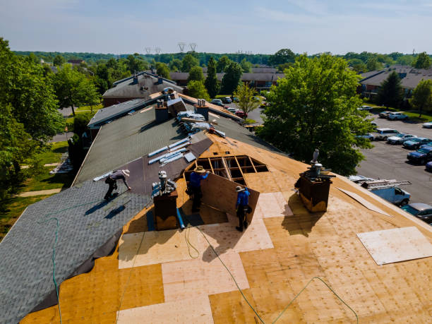 Best Commercial Roofing Services  in Hilton, NY