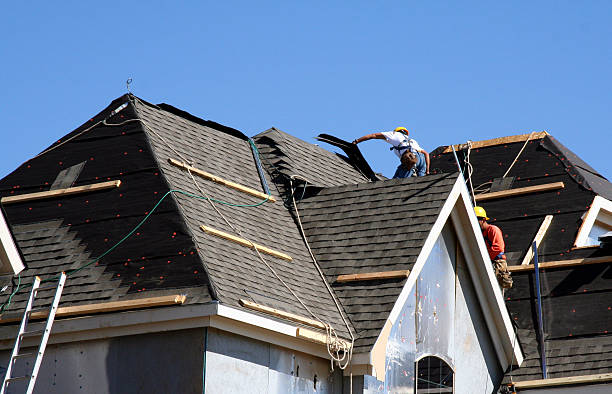 Best Local Roofing Companies  in Hilton, NY