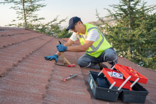Best Roof Leak Repair  in Hilton, NY