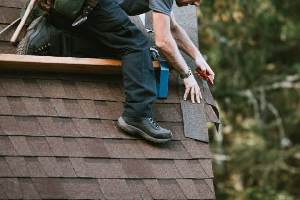 Best Roof Restoration Services  in Hilton, NY
